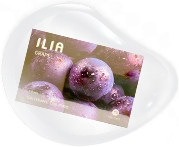 ILIA哩亞電子煙彈（多肉葡萄）